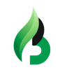 BurnBalance Logo